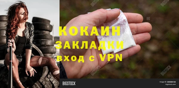 гидра Володарск